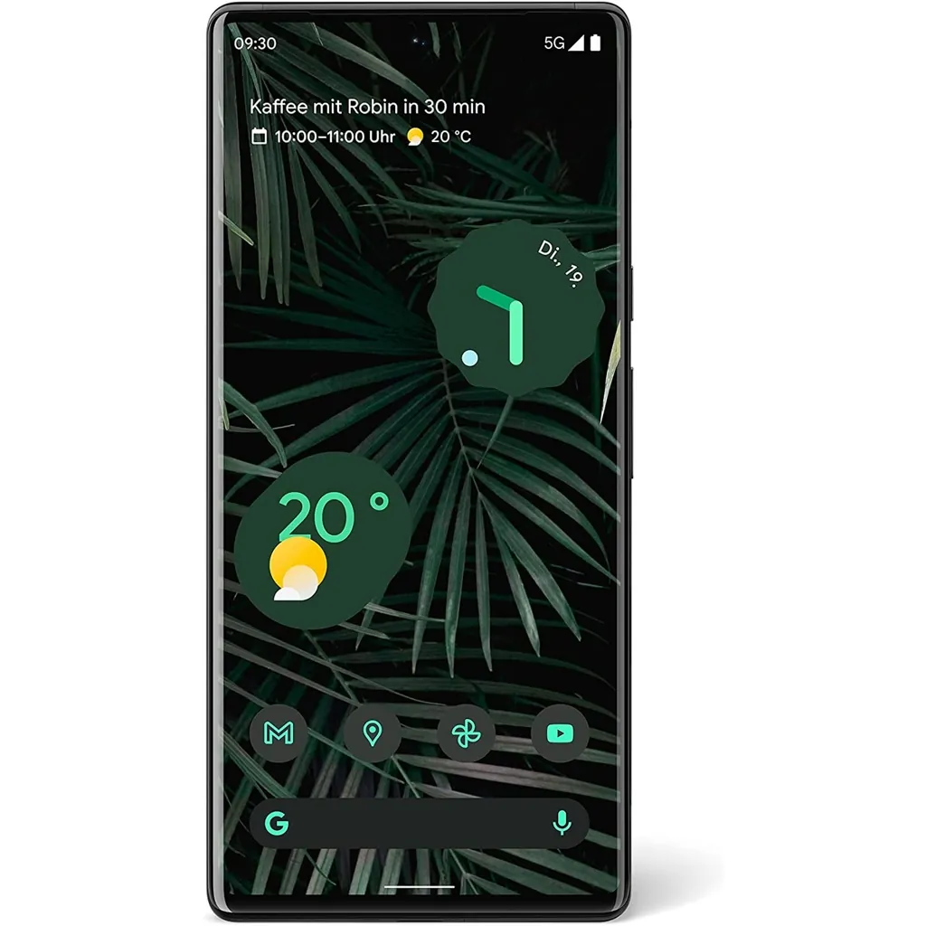 Google Pixel 6 Pro 5G Dual-SIM 256GB Stormy Black