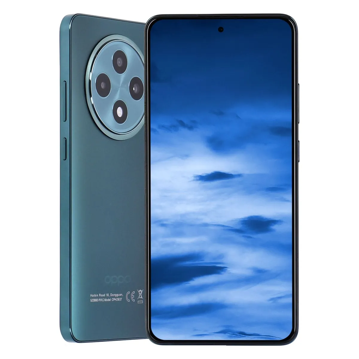 Oppo Reno 12 FS 5G 512GB Black Green