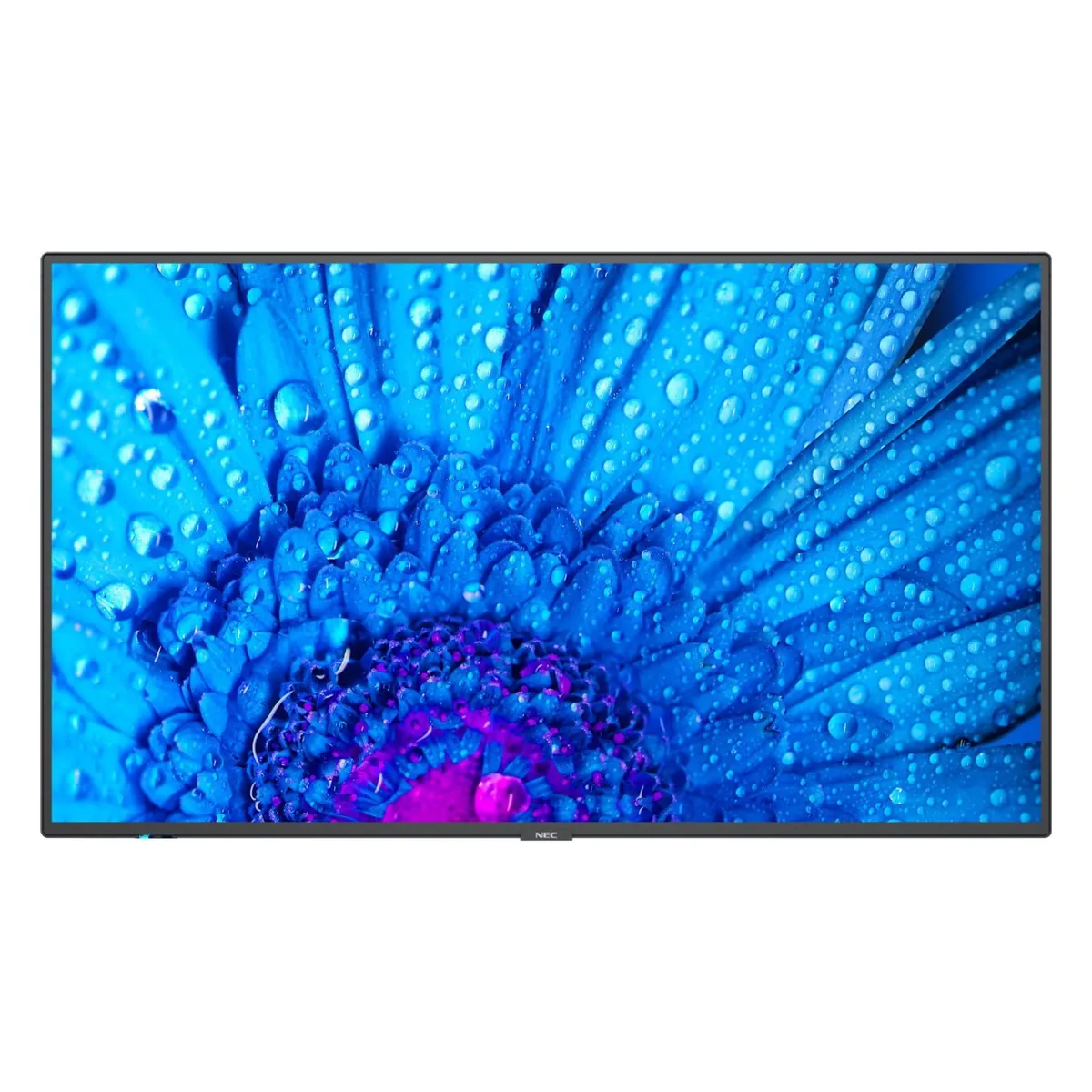 NEC MultiSync M491 49 Zoll Display UHD