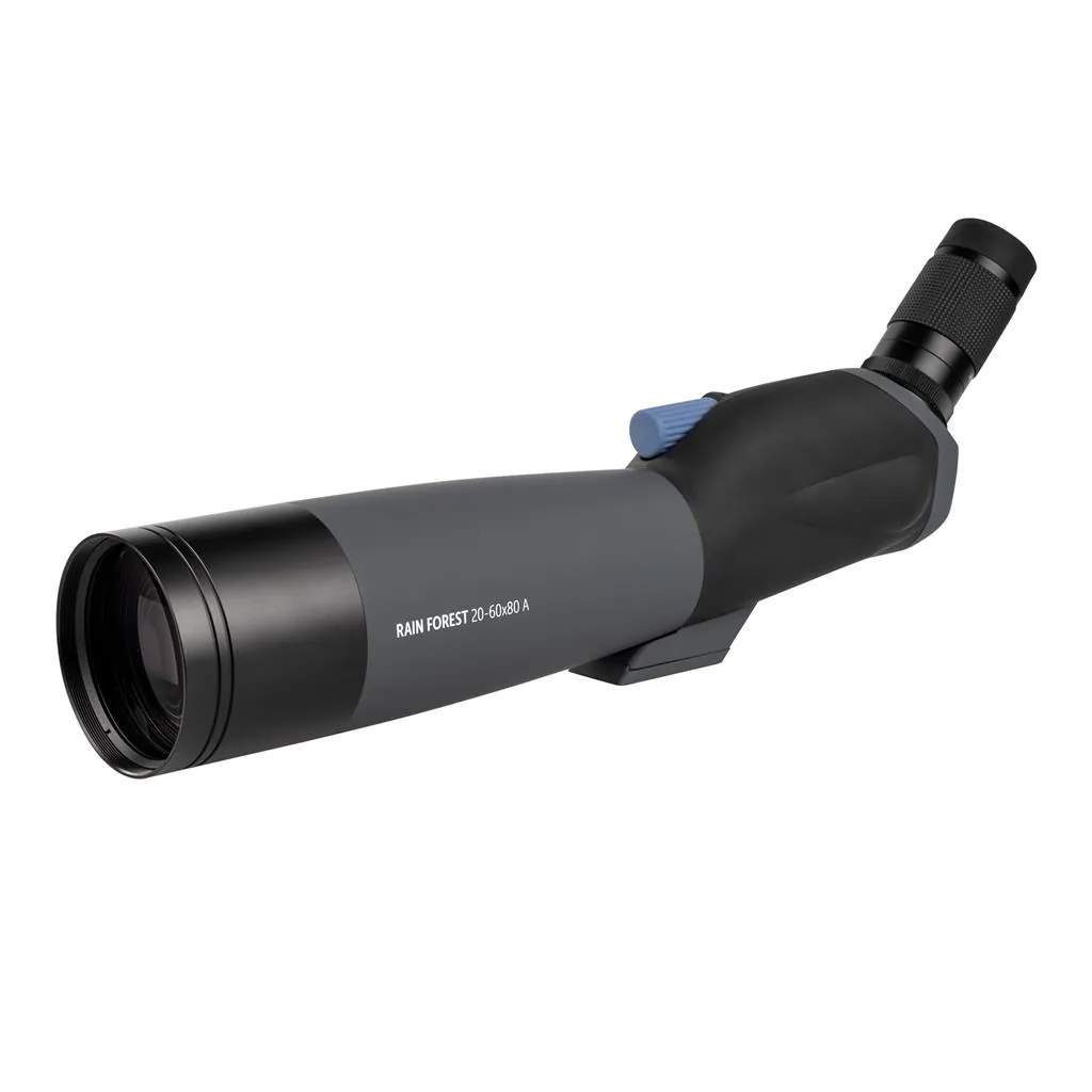 Zoomspektiv Rain Forest