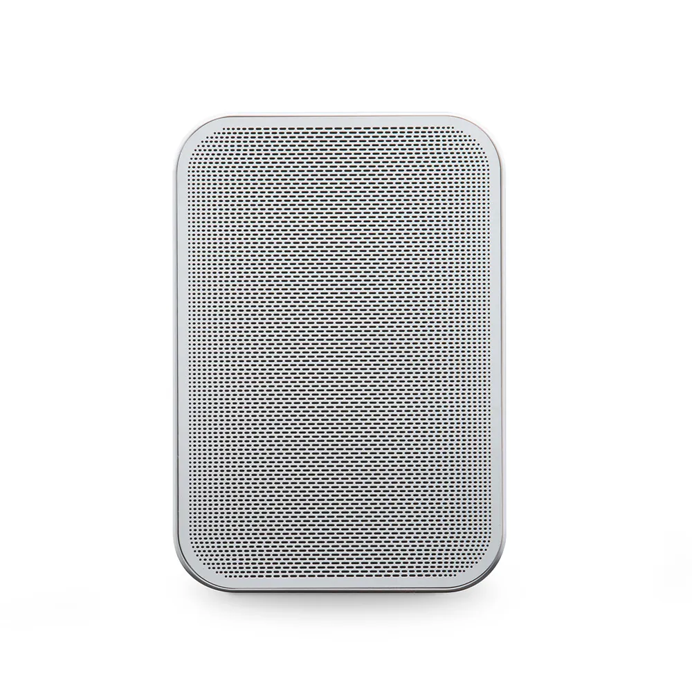 Bluesound PULSE FLEX 2i