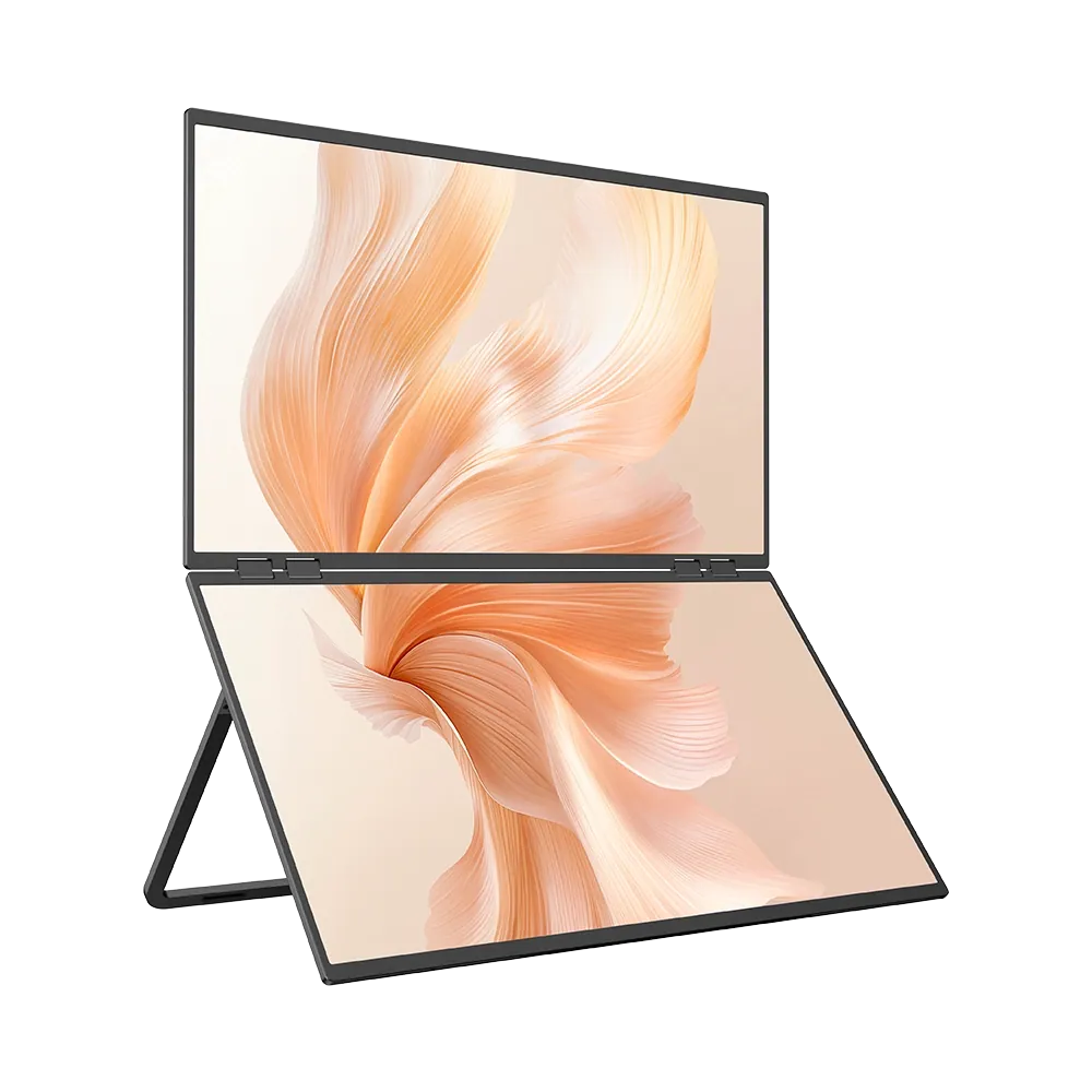 Delta Mega - 23,8 Zoll 100 Hz Dual Screen gestapelter Computermonitor mit Lautsprechern
