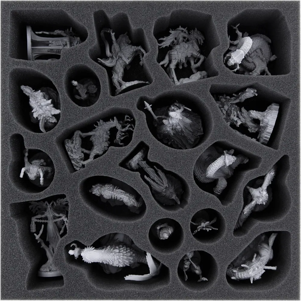 AGMEYD070BO Feldherr foam tray for Tainted Grail