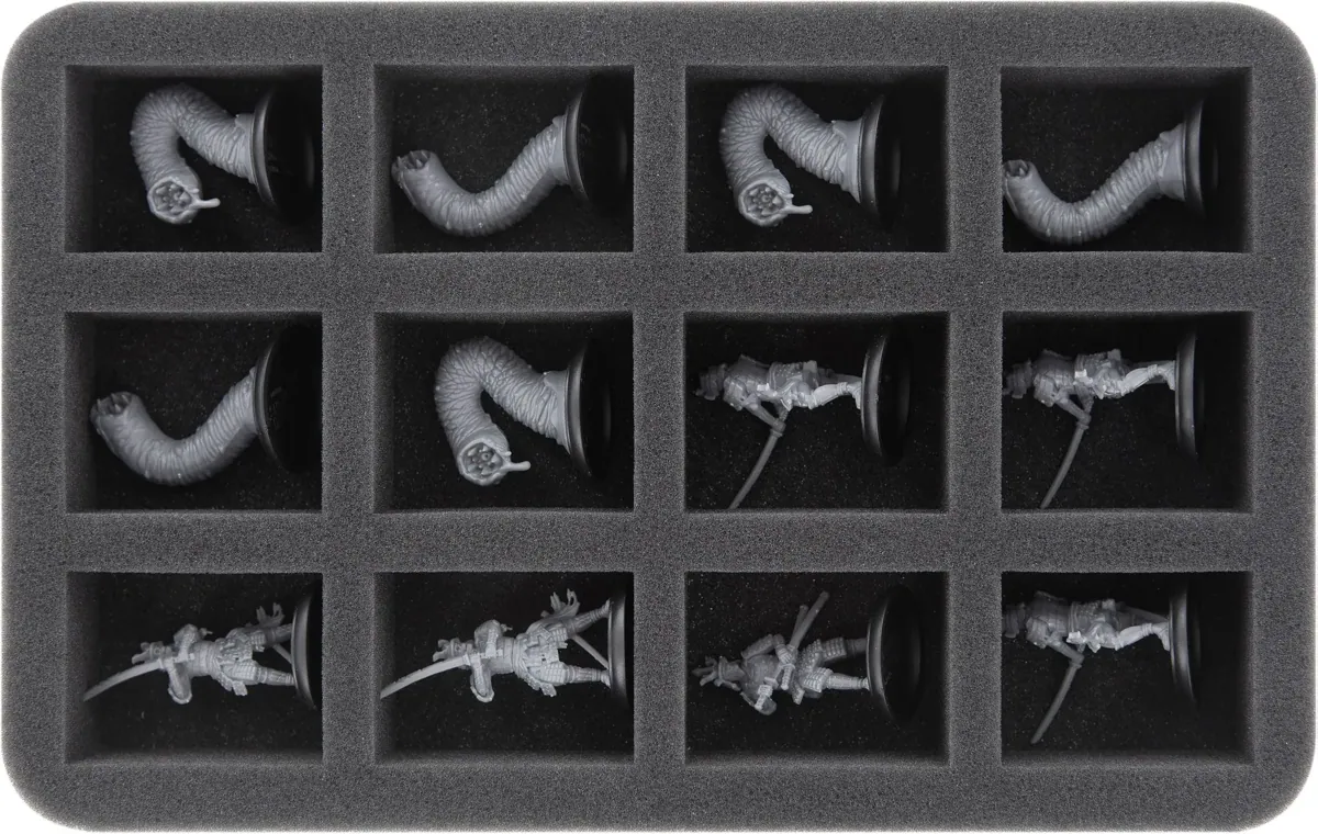 HS040A006 Feldherr foam tray for Shadows of Brimstone - 12 compartments