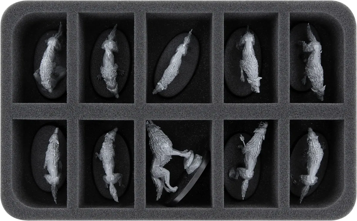 HS050A077 Feldherr foam tray for Soulblight Gravelords - 10 compartments