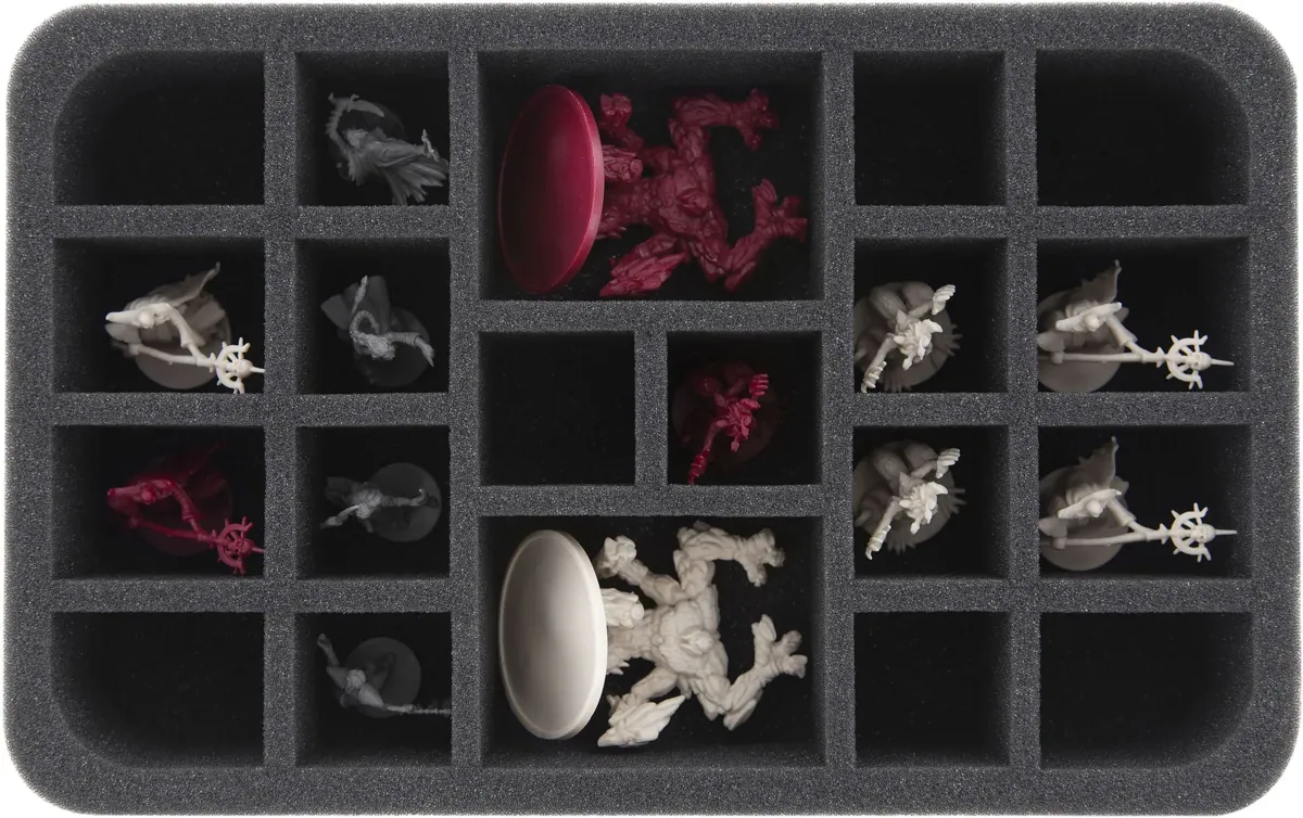 HS055DC11 foam tray for Descent