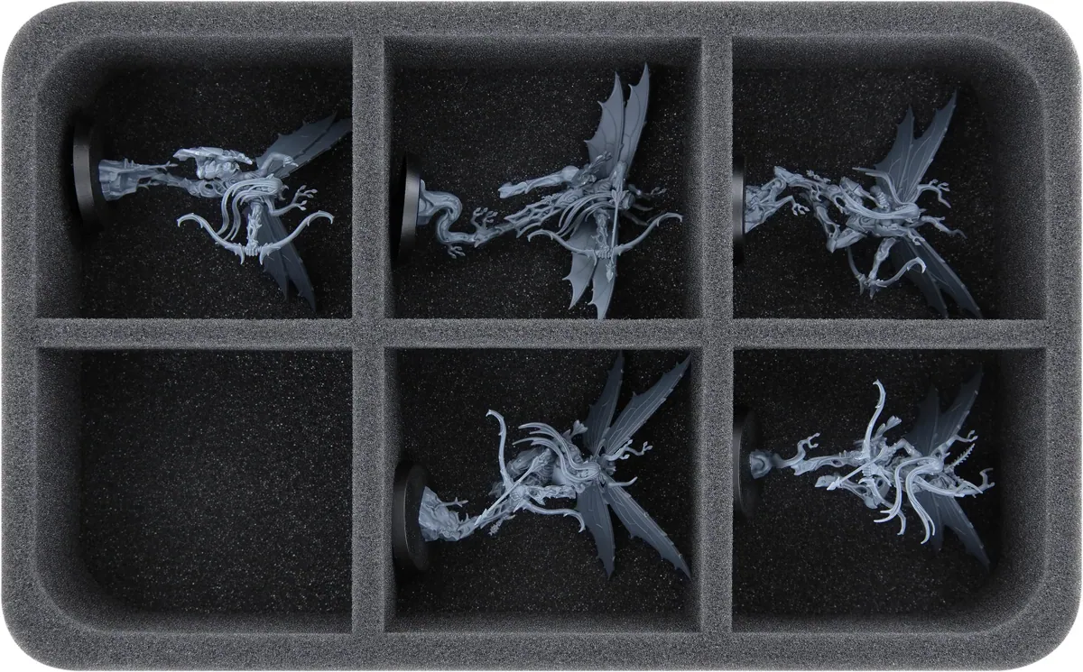 HS060A064 Feldherr foam tray for Daughters of Khaine - 6 compartments