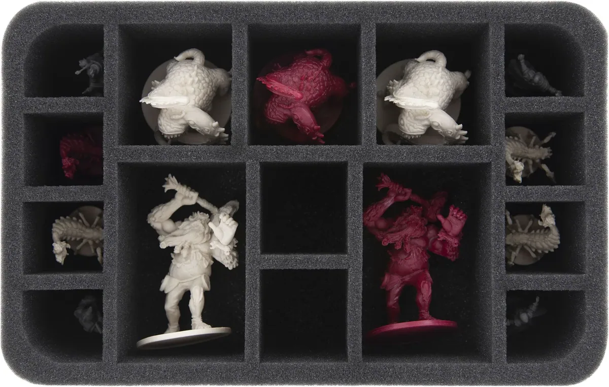 HS065DC12 foam tray for Descent