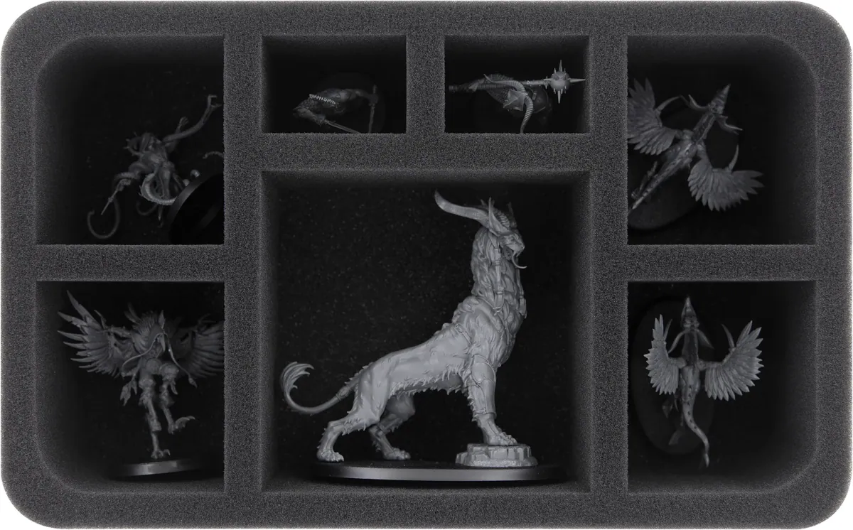 HS070A007 foam tray for Warcry - 7 compartments