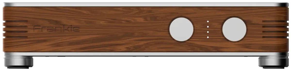 Serblin & Son Frankie Monoblock Endverstärker (Paarpreis)