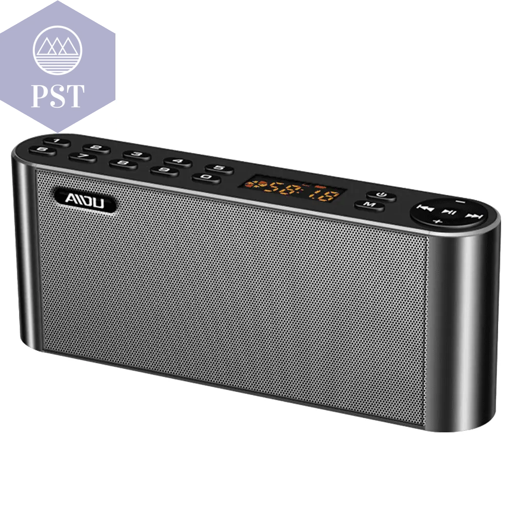 Portable Wireless HiFi Bluetooth Speaker Mic