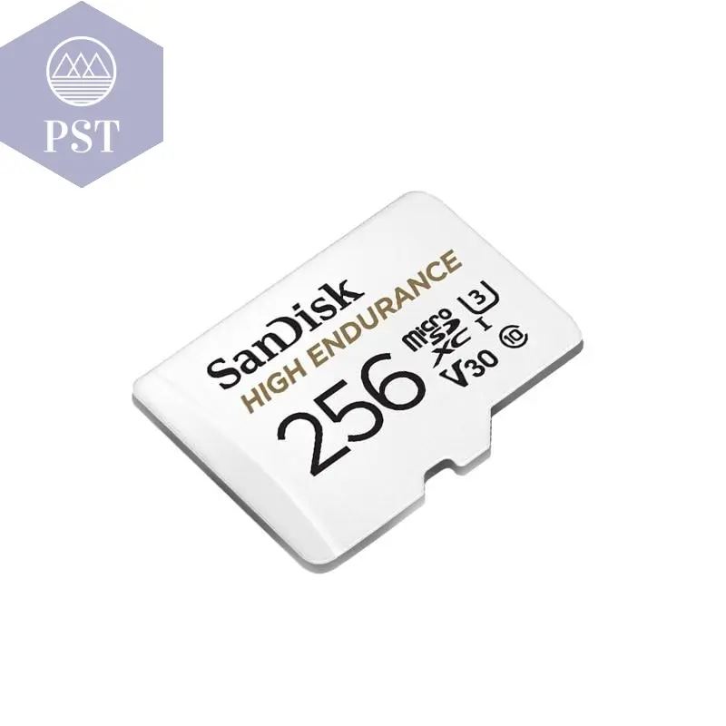 SanDisk High Endurance SD Card