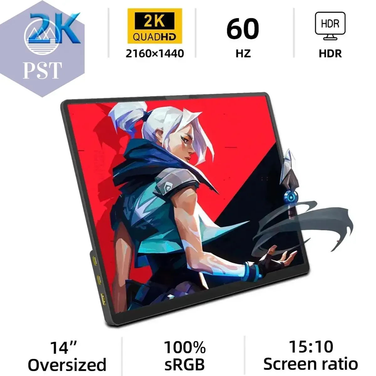 ZSUS 2160*1440 14-inch 2K Portable Monitor