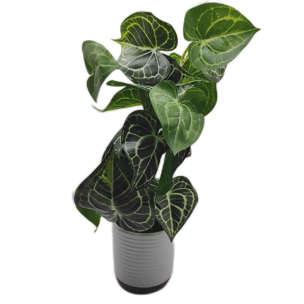 Anthurium Kunstpflanze Wohnaccessoires Crystallinum Dekoration 55CM Realistisch Elegant
