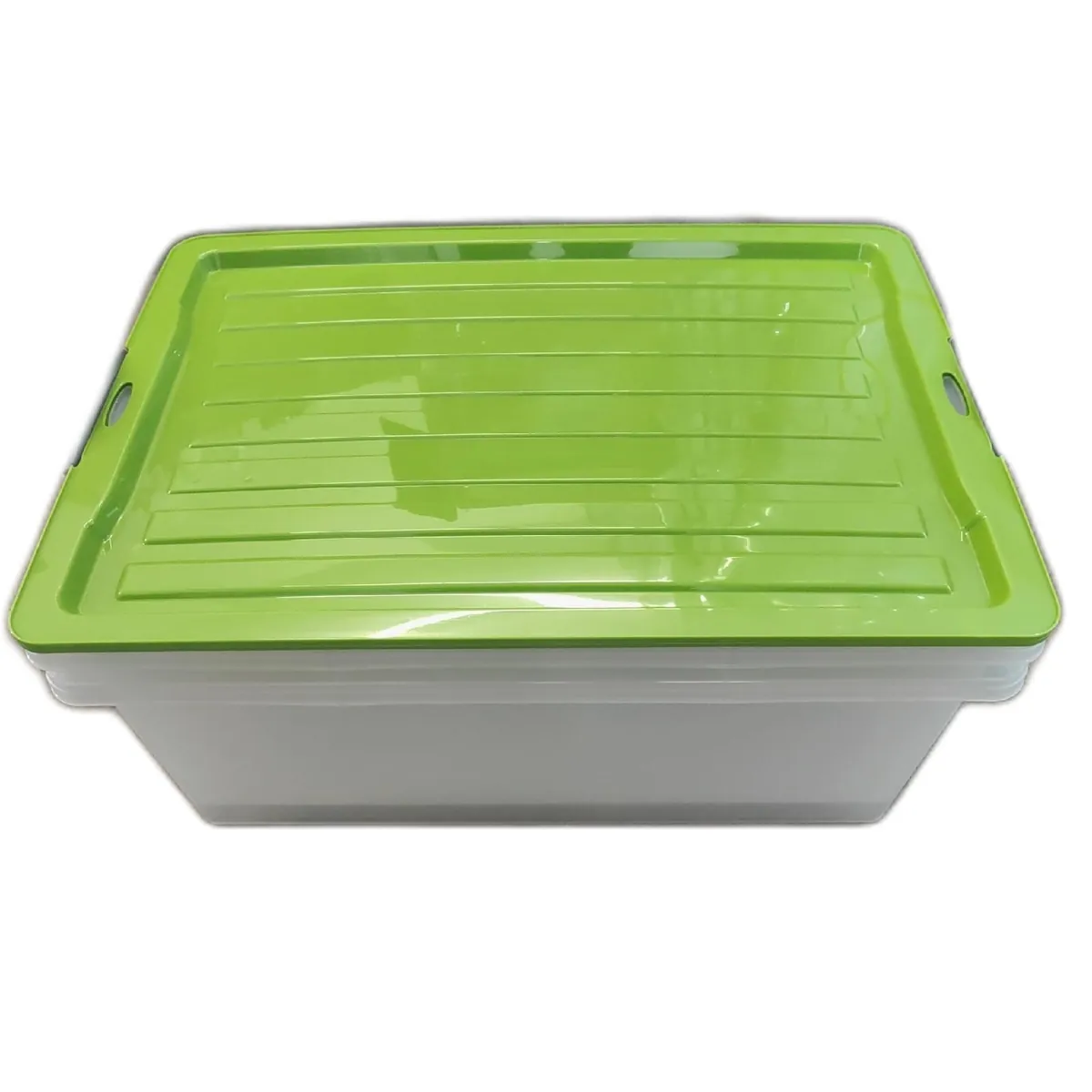 Rotho Compact Aufbewahrungsbox 38 Liter Kunststoff 2er Set