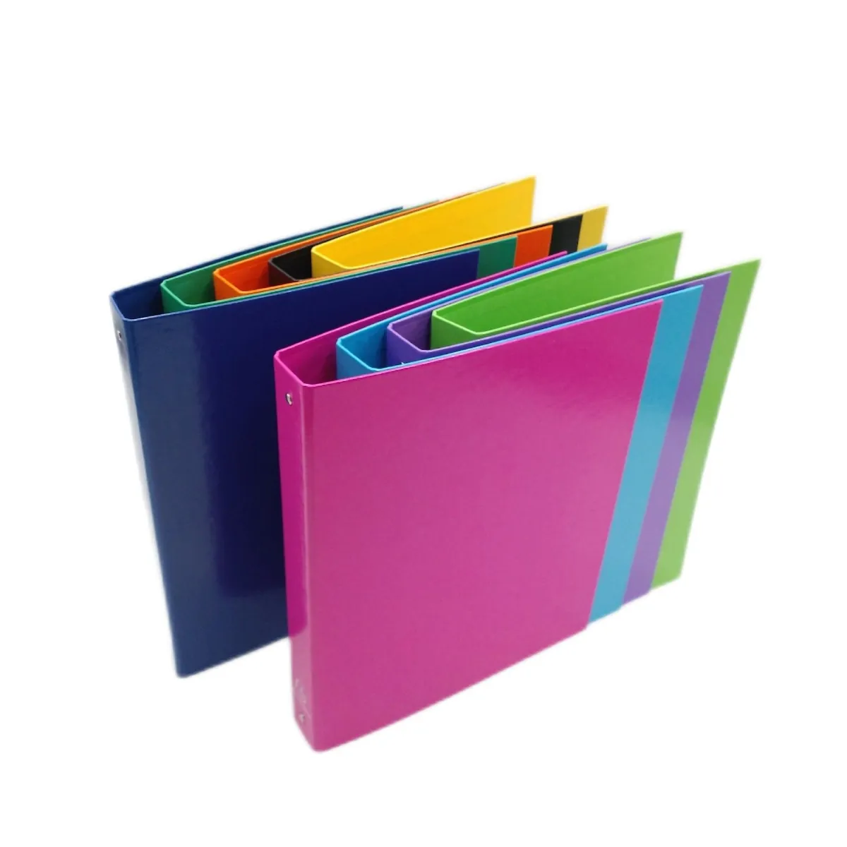 Exacompta Ref 51929E Karton 9 starre Ordner pelliculated Lieferung